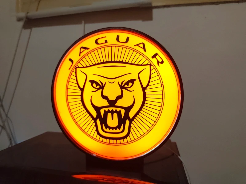 Jaguar — imagem 8